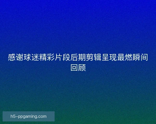 感谢球迷精彩片段后期剪辑呈现最燃瞬间回顾