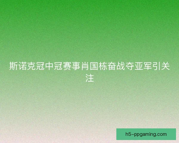 斯诺克冠中冠赛事肖国栋奋战夺亚军引关注